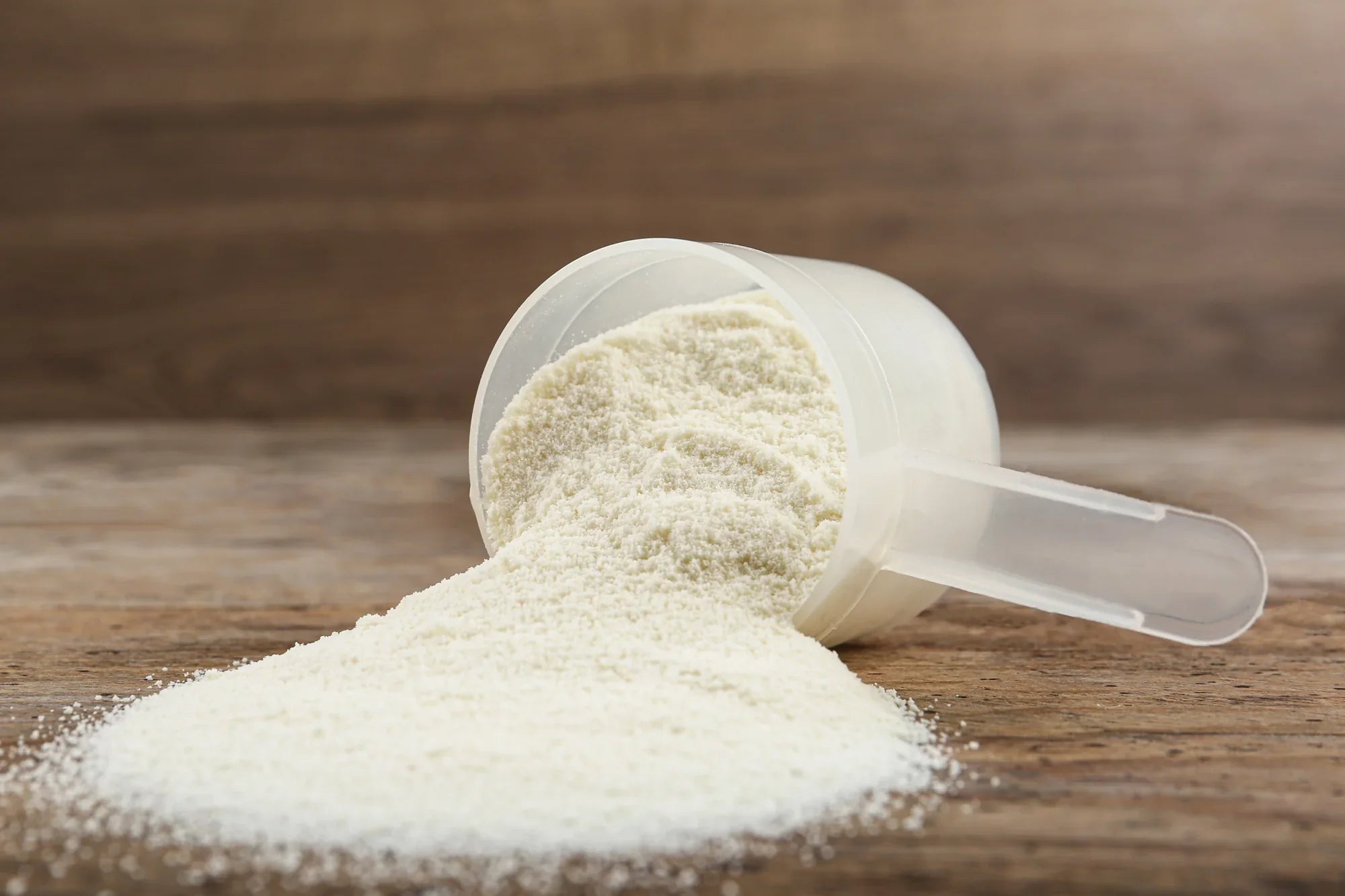 The Protein Powerhouse: A Guide to Different Sources of Protein